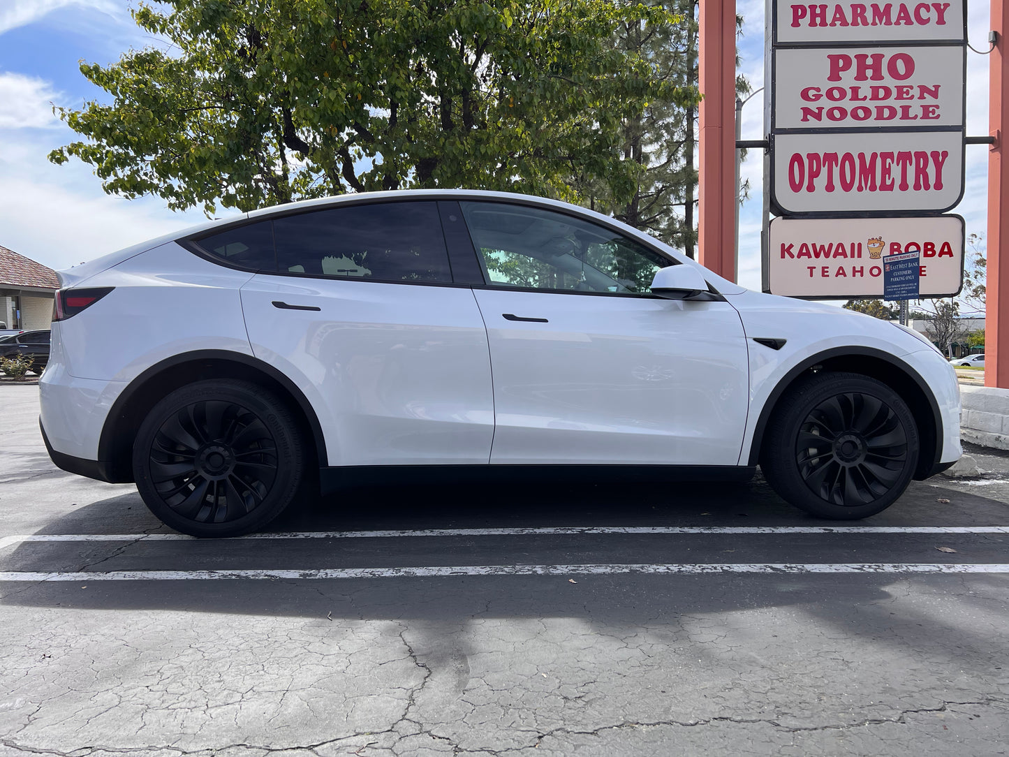 "Tornado Slicer" for Model Y 19 Inch